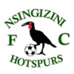 Nsingizini Hotspurs emblem